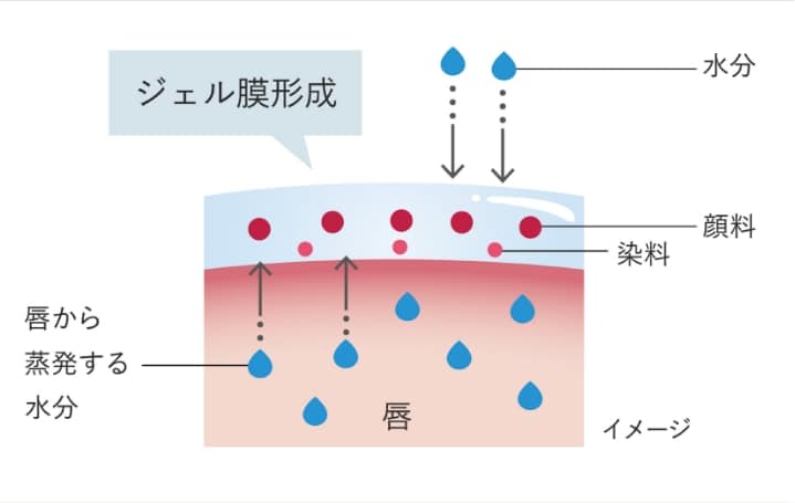 ジェル膜形成